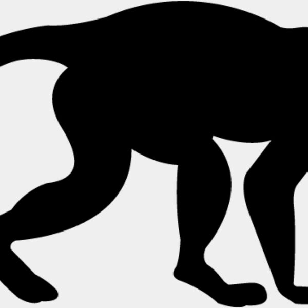 Monkey Silhouette1 Thumbnail