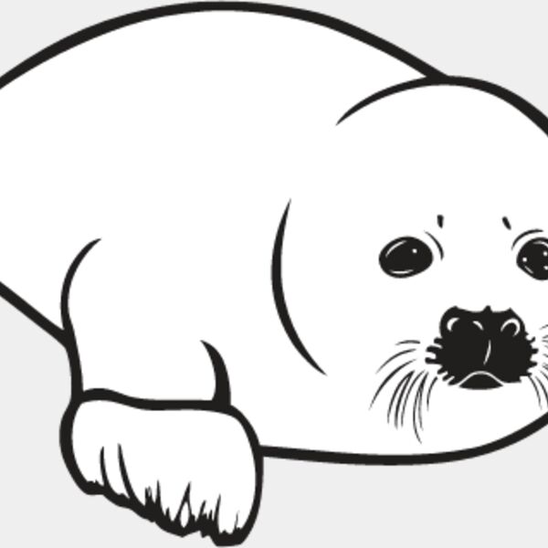 Baby Seal2 Thumbnail