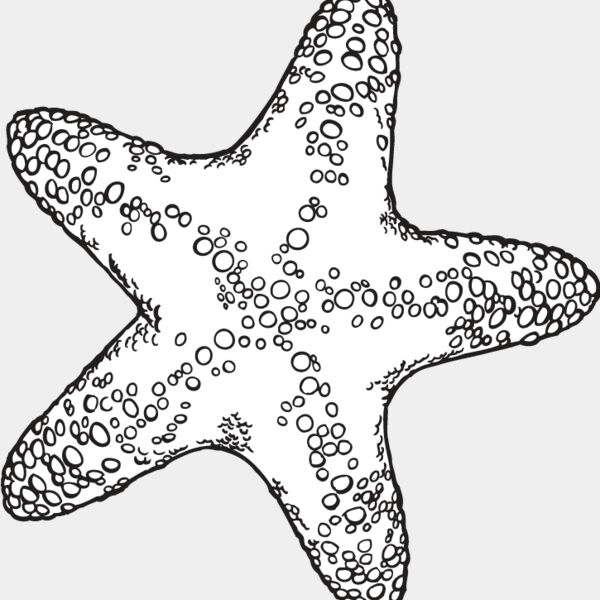 Starfish2 Thumbnail