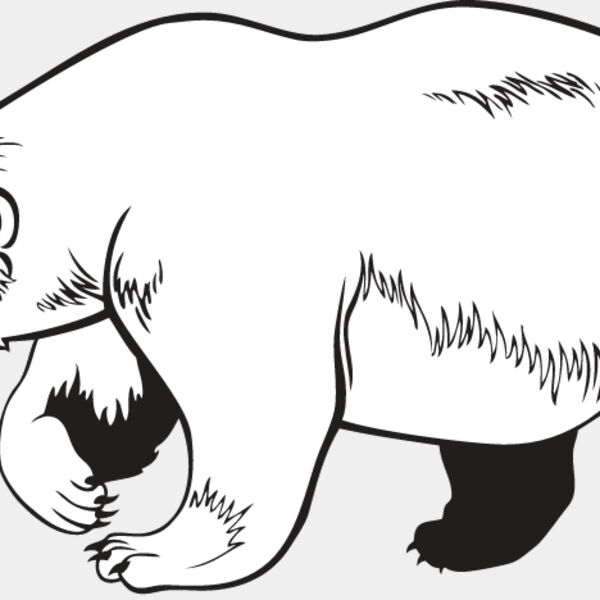 Polar Bear Thumbnail