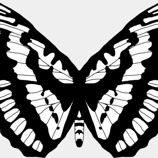 Butterfly1 Thumbnail