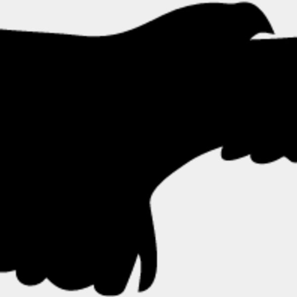 Flying Eagle Silhouette2 Thumbnail