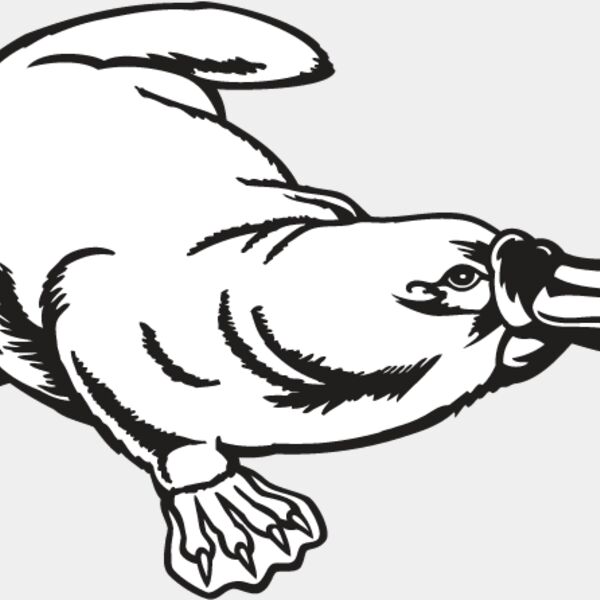 Platypus Thumbnail