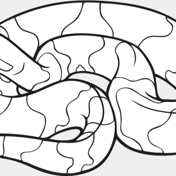 Copperhead Snake Thumbnail