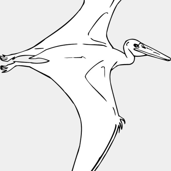 Pteradactyl1 Thumbnail