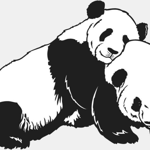 Panda Bear2 Thumbnail