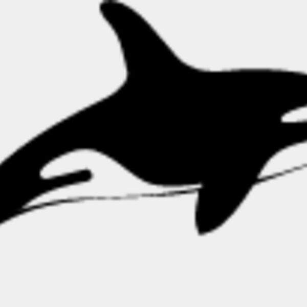 Killer Whale4 Thumbnail