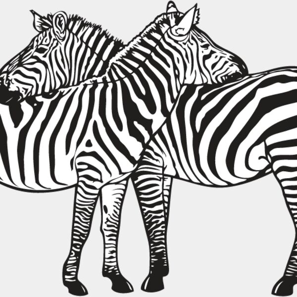 Zebra2 Thumbnail