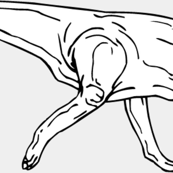 Lambeosaurus Thumbnail