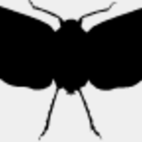 Flying Insect5 Thumbnail