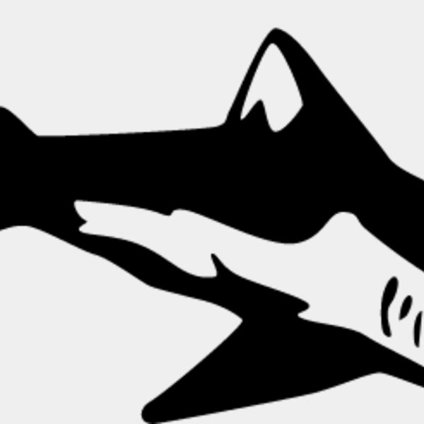 Shark1 Thumbnail