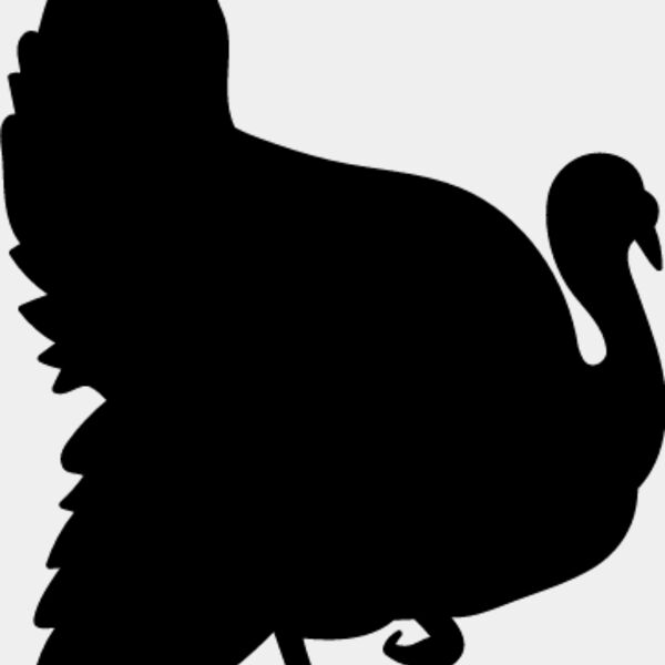 Wild Turkey4 Thumbnail