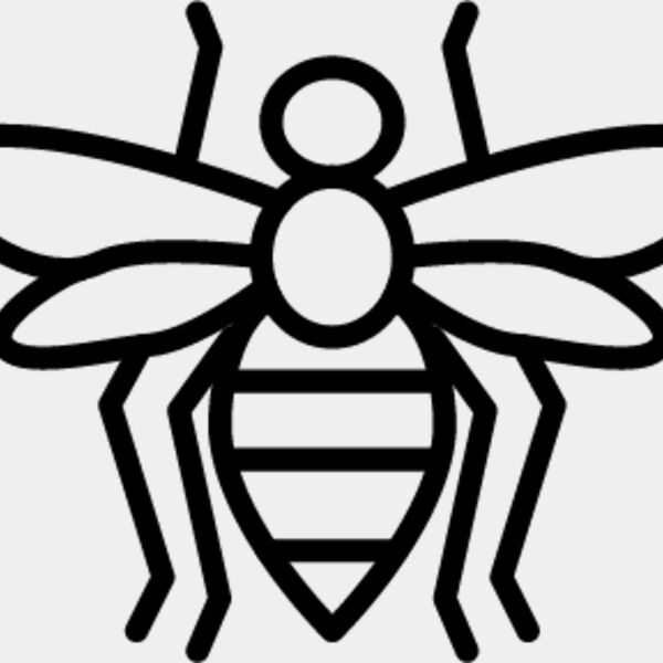 Flying Insect line 4 Thumbnail