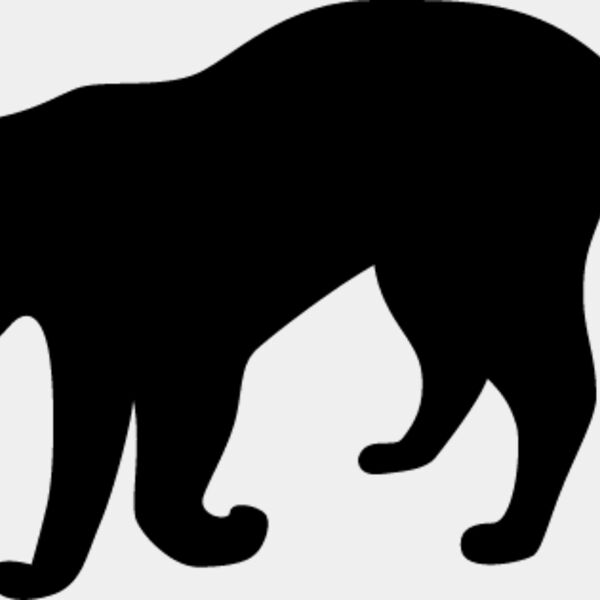 Big Cat  Tiger  Lion  Panther 4 Thumbnail