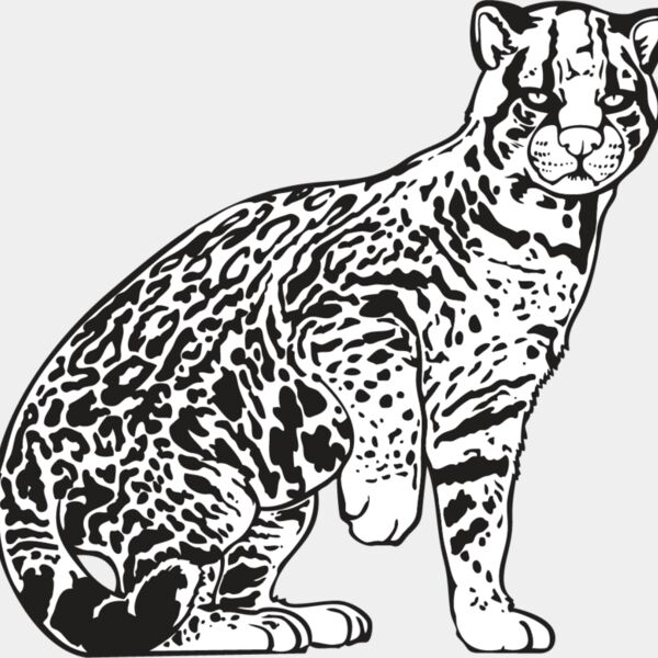 Ocelot Thumbnail