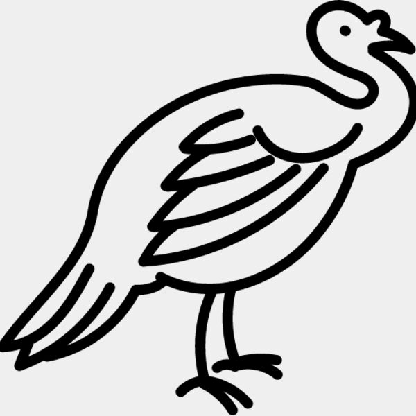 Wild Turkey Line 3 Thumbnail