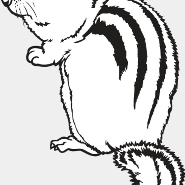 Chipmunk Thumbnail