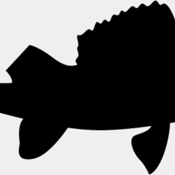 Fish Silhouette10 Thumbnail
