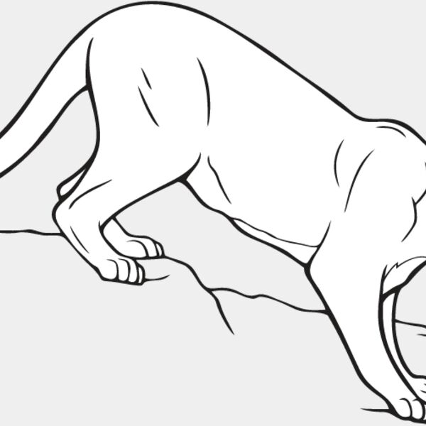 Mountain Lion Thumbnail