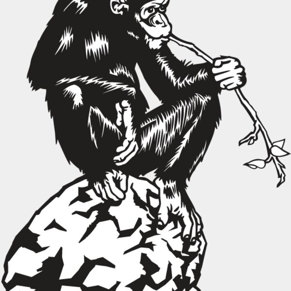 Chimpanzee Thumbnail