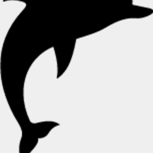 Dolphin8 Thumbnail