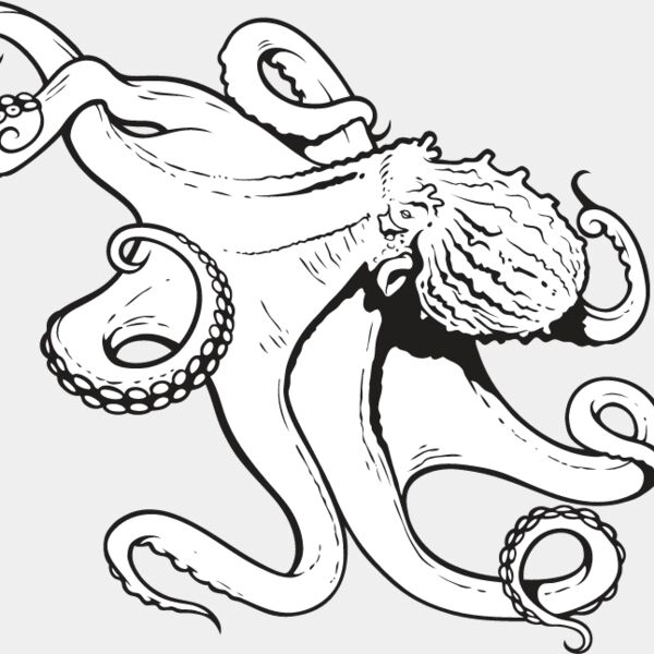Octopus1 Thumbnail