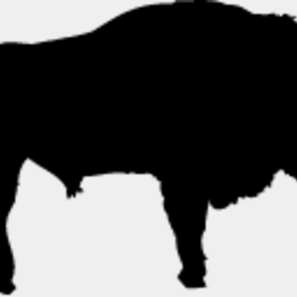 Buffalo1 Thumbnail