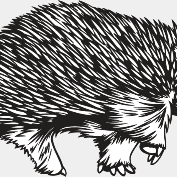 Porcupine1 Thumbnail