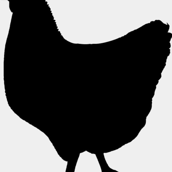 Chicken4 Thumbnail