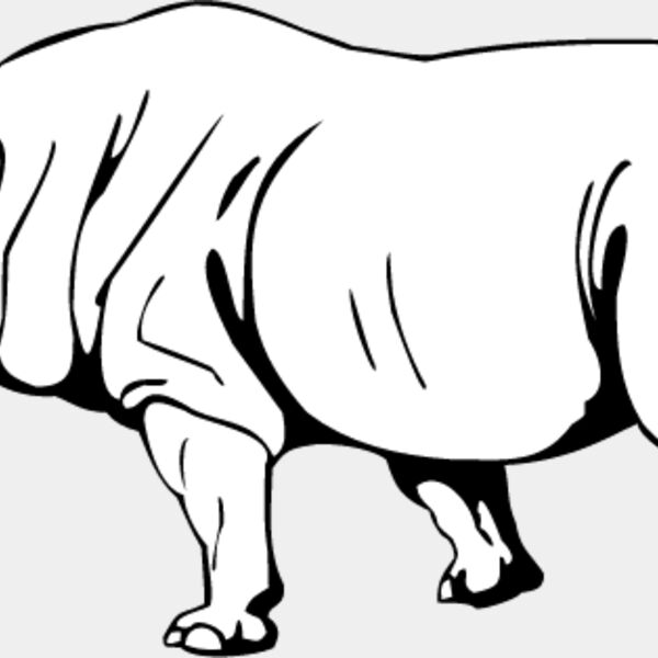 Megacerops Thumbnail