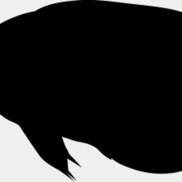 Fish Silhouette2 Thumbnail