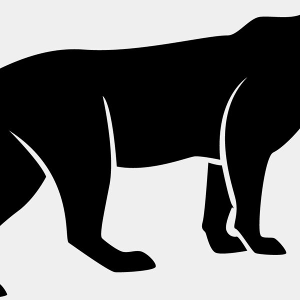 Big Cat  Tiger  Lion  Panther 12 Thumbnail