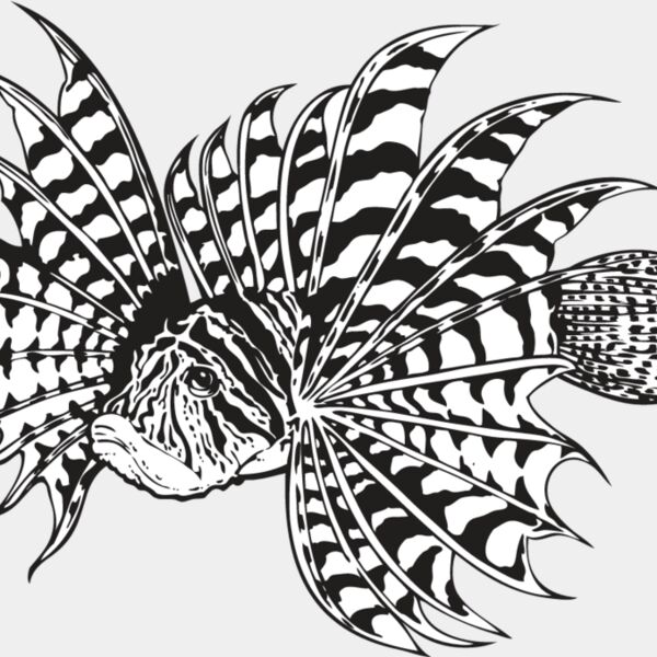 Lionfish Thumbnail