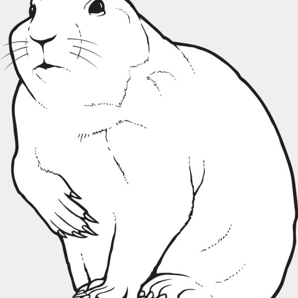 Prairie Dog Thumbnail