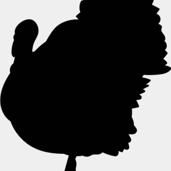 Wild Turkey5 Thumbnail