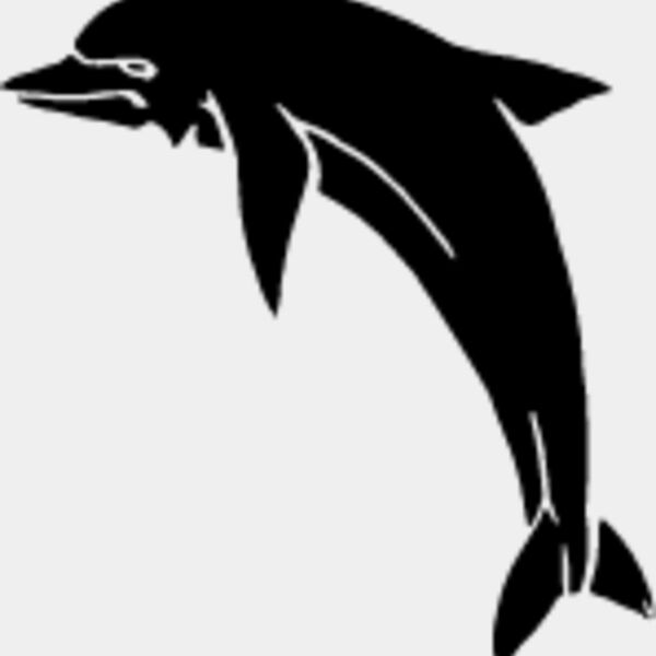 Dolphin3 Thumbnail