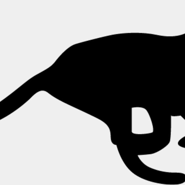 Big Cat  Tiger  Lion  Panther 23 Thumbnail