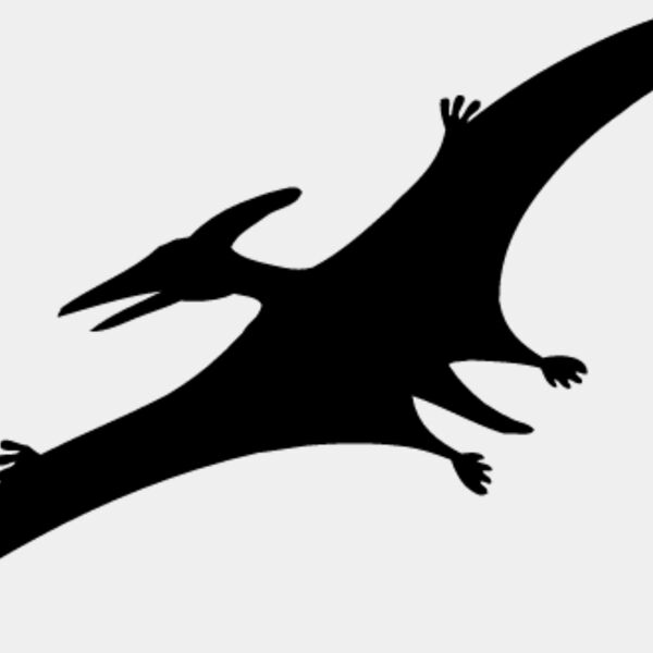 Pteradactyl3 Thumbnail