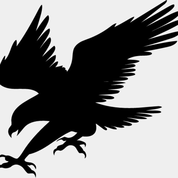 Flying Eagle Silhouette1 Thumbnail