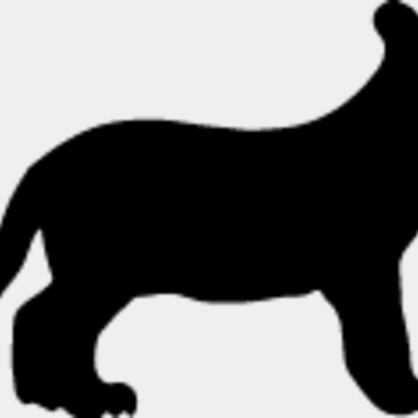 Big Cat  Tiger  Lion  Panther 19 Thumbnail