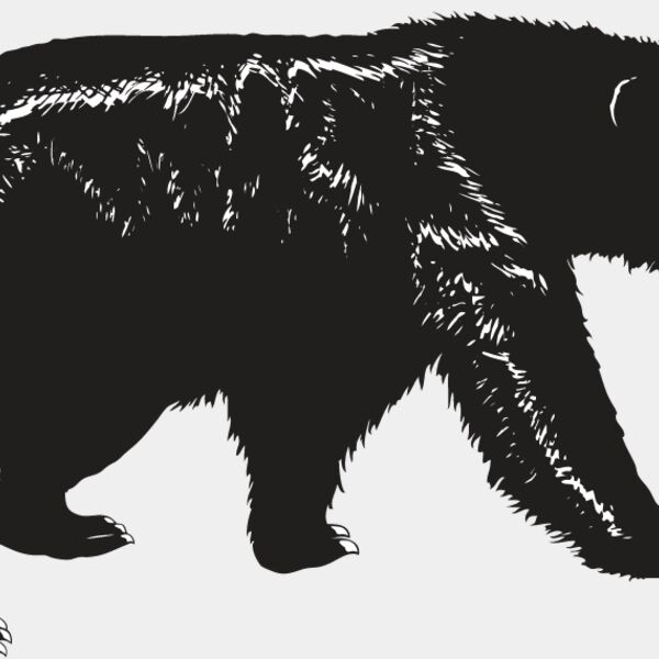 Black Bear Thumbnail