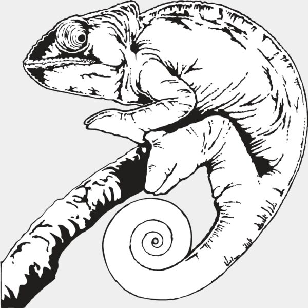 Chameleon Thumbnail