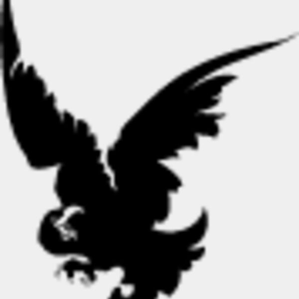 Flying Eagle Silhouette9 Thumbnail