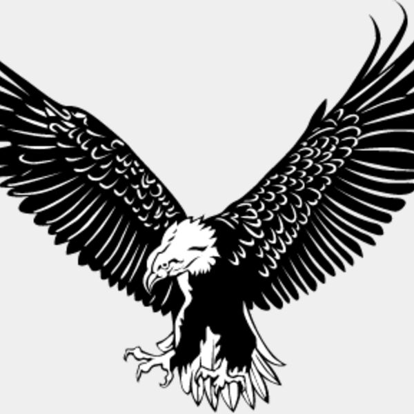 Eagle1 Thumbnail