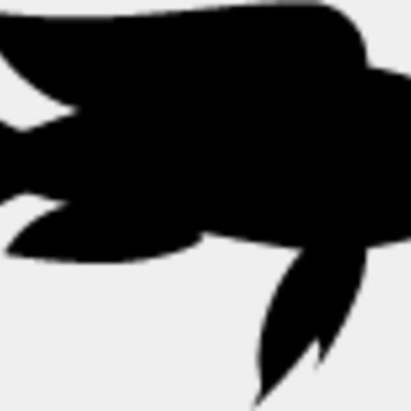 Fish Silhouette8 Thumbnail
