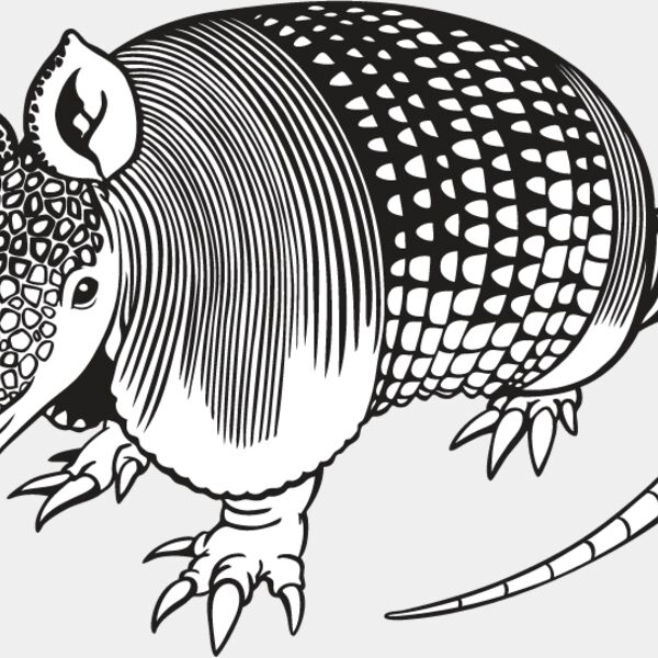 Armadillo1 Thumbnail