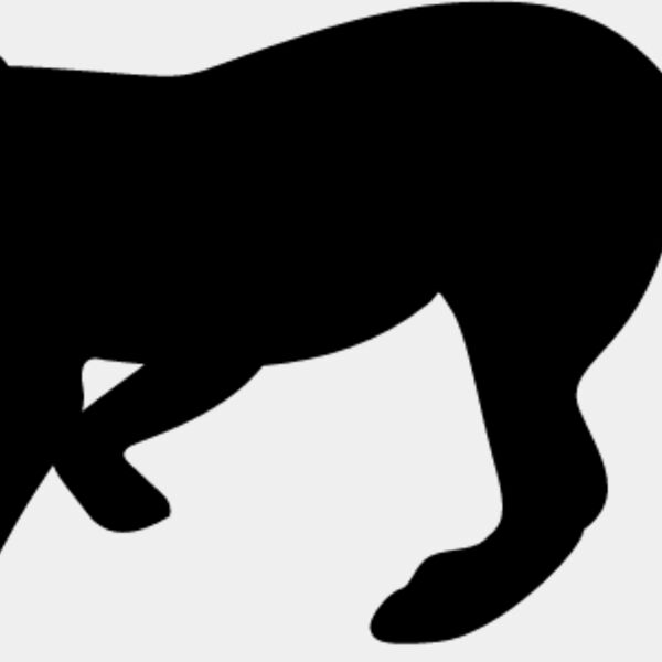 Big Cat  Tiger  Lion  Panther 29 Thumbnail