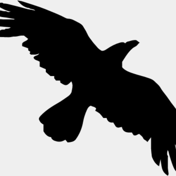 Bird Silhouette2 Thumbnail