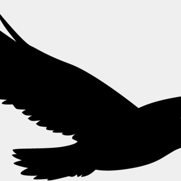 Bird Silhouette10 Thumbnail
