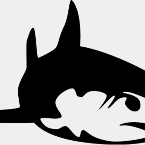 Great White Shark5 Thumbnail